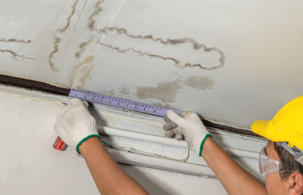 Reliable Water Extraction contractor in Stanwood, MI by Hirex Water Damage